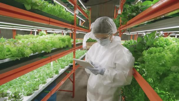 Slow Motion Médio Tiro Casal Engenheiros Agronômicos Profissionais Vestuário Trabalho — Vídeo de Stock