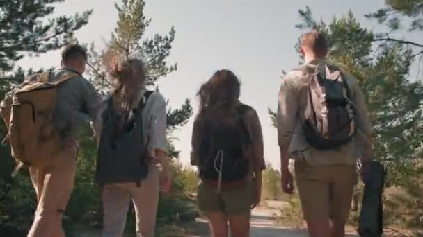 Low Angle Tracking Rear View Group Young Friends Backpacks Walking — Stock Video