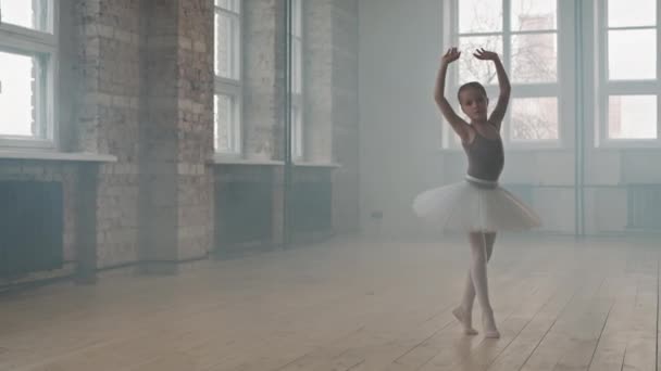 기사보기 아름답고 재능있는 발레리나가 투투를벌이고 피어나는 수업에서우아 — 비디오