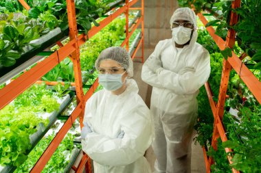 Çalışma kıyafetleri ve maske takmış, dikey çiftlik rafları arasında çapraz kollarla duran kendinden emin, çok ırklı genç sera çalışanlarının bakış açısının üstünde.