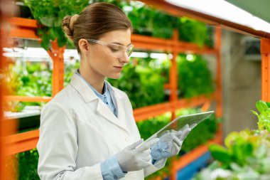 Dikey çiftlikteki bitkilerin büyümesini incelerken cam etkileşimli panel kullanan genç tarım mühendisi.