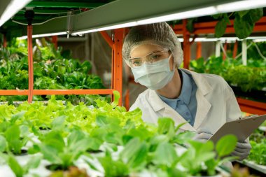 Gözlüklü, maskeli ve şapkalı genç tarım mühendisi dikey çiftlik serasında duruyor ve panodaki yeşil fidelerle ilgili notlar alıyor.