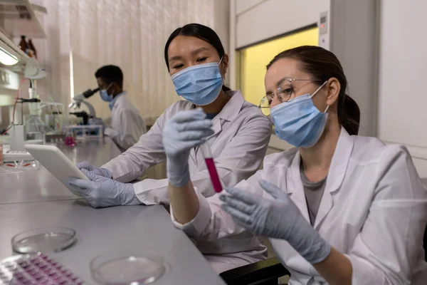 Dos Colegas Máscaras Protectoras Examinando Líquido Tubo Ensayo Discutiendo Experimento — Foto de Stock