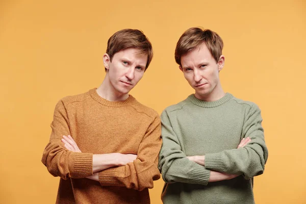 身穿芥末和橄榄毛衣的兄弟们皱着眉头站在橙色背景下的画像 — 图库照片