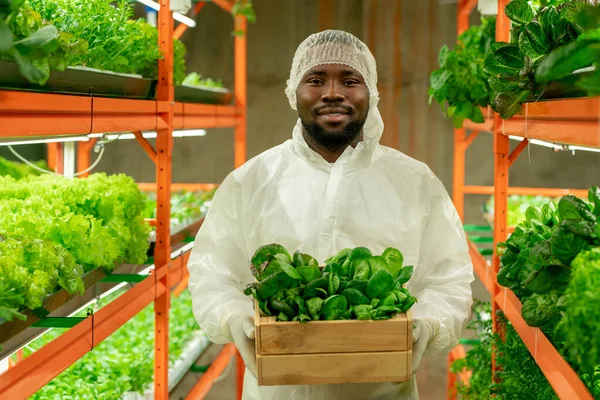 Ritratto Ingegnere Agricolo Afro Americano Barbuto Positivo Berretto Tuta Protettiva — Foto Stock