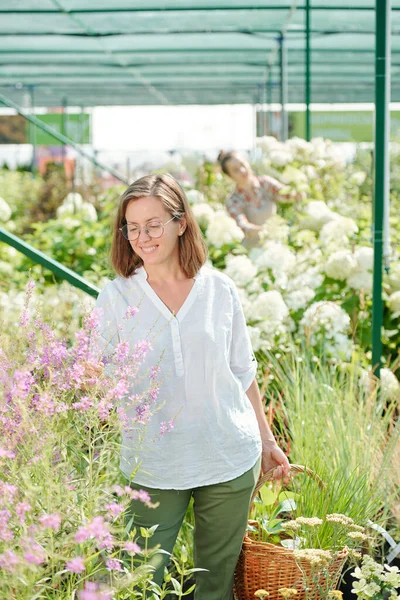 Framgångsrik Kvinnlig Hothouse Arbetare Med Korg Tittar Rosa Blommor Växer — Stockfoto