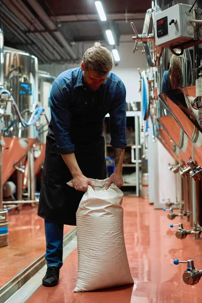 Cervecero Joven Ropa Trabajo Desempacar Saco Blanco Cebada Mientras Está —  Fotos de Stock