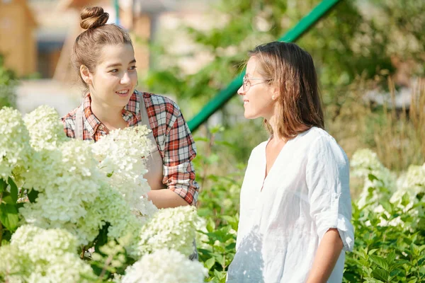 Two Young Female Gardeners Workers Hothouse Looking One Another While — Stock Photo, Image