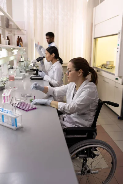 Científica Discapacitada Sentada Mesa Trabajando Con Muestras Tubos Ensayo Con — Foto de Stock