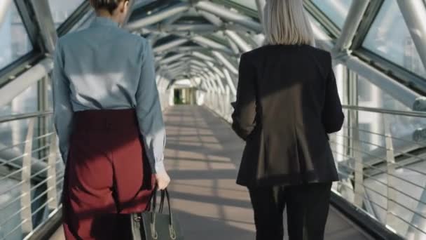 Üst Sınıf Ofis Binasının Cam Köprüsü Boyunca Yürürken Konuşan Başarılı — Stok video