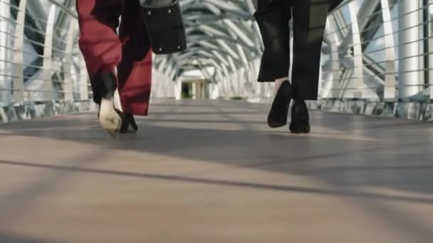 Nízký Zadní Pohled Zpomalení Nepoznatelné Podnikatelky Nohy Podpatcích Kráčející Podél — Stock video