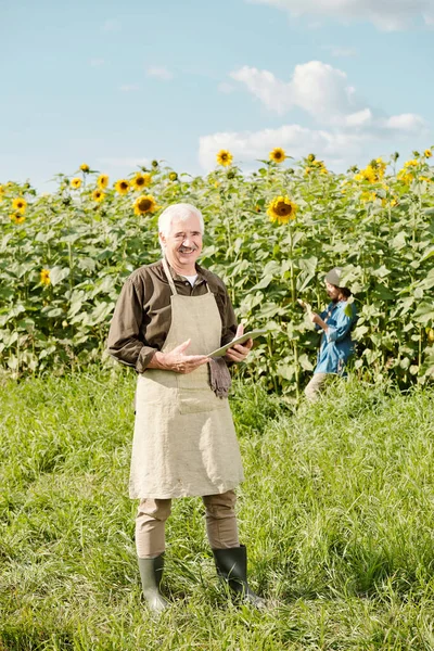 Mature Cheerful Male Farmer Workwear Standing Front Camera Using Touchpad — Stock Photo, Image