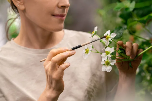 Mujer Joven Sosteniendo Una Pequeña Flor Fresa Durante Polinización — Foto de Stock