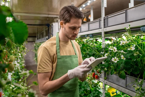 Een Jonge Man Met Digitale Tablet Aan Het Werk Een — Stockfoto