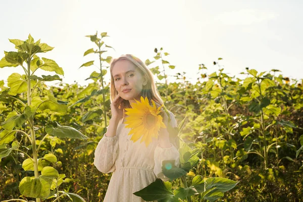 Mulher Loira Jovem Bonita Estilo Branco País Vestido Frente Câmera — Fotografia de Stock