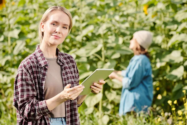 Érett Női Farmer Munkaruhában Áll Kamera Előtt Touchpad Ellen Napraforgó — Stock Fotó