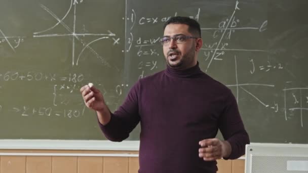 Közepes Lövés Magabiztos Vegyes Fajú Matematika Professzor Beszél Diákok Álló — Stock videók