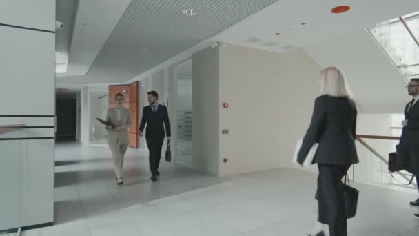 Modern Büroda Birlikte Çalışırken Kadın Erkek Avukatların Takım Elbiseli Adamlarının — Stok video