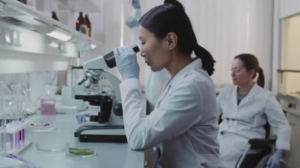 Lento Cientistas Fazendo Pesquisa Laboratório Química Asiática Usando Microscópio Como — Vídeo de Stock