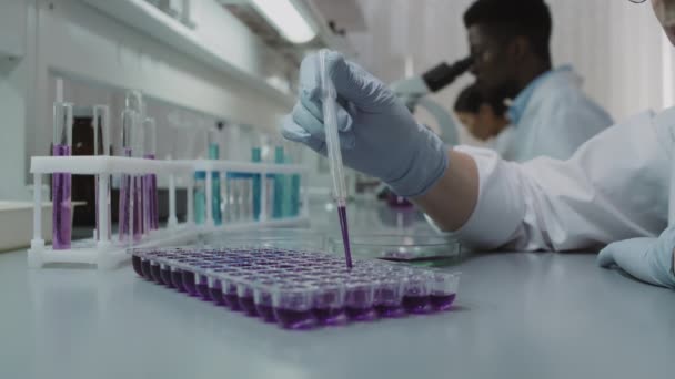 Close Tiro Cientista Feminino Irreconhecível Luvas Usando Conta Gotas Colocando — Vídeo de Stock