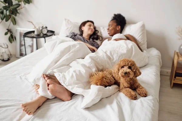 Carino cane da compagnia sdraiato sul letto con due ragazze felici — Foto Stock