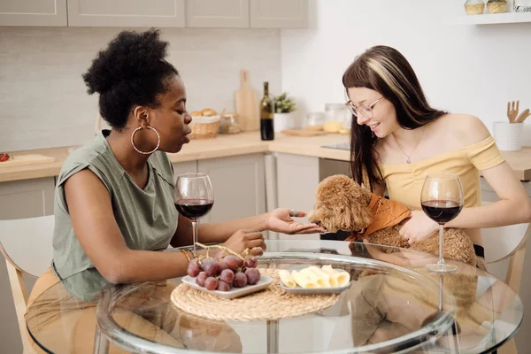 Les jeunes femmes interculturelles assis à la table de la cuisine et câlinant leur chien animal de compagnie — Photo