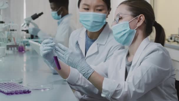 시험관에서 보라색 용액을 연구하고 실험실에서 태블릿에 필기를 하면서 반응에 토론하는 — 비디오