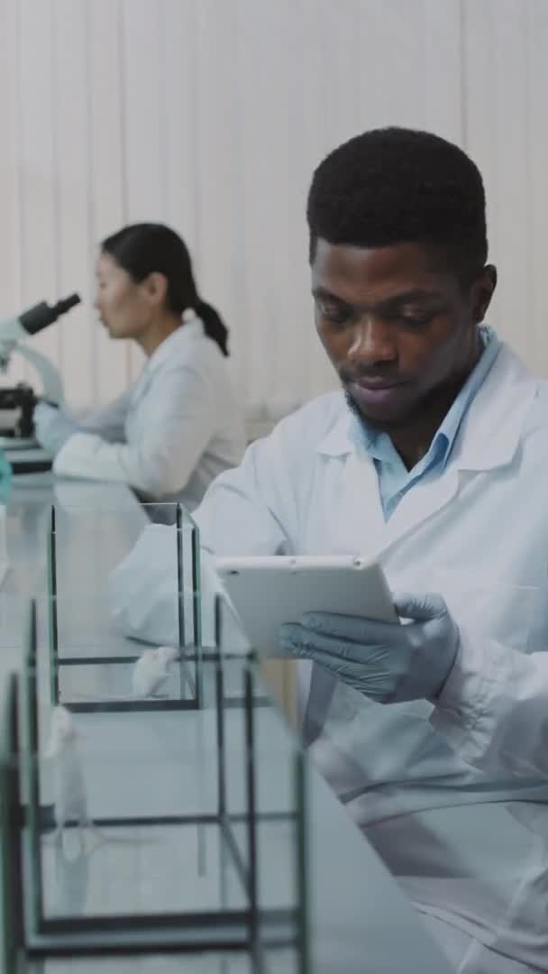 Beyaz Önlüklü Eldivenli Afro Amerikan Erkek Bilim Adamının Laboratuvarda Araştırma — Stok video