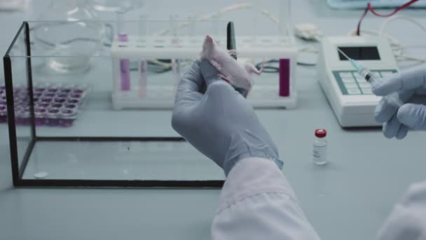 Schouder Schot Van Onherkenbare Wetenschapper Witte Jas Handschoenen Injecteren Witte — Stockvideo