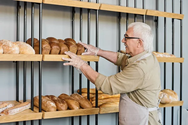 焼きたてのパンをディスプレイに置くエプロンの高齢者のパン屋 — ストック写真