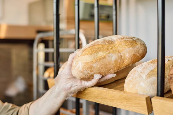 Ręka rękawiczki męskiego piekarza biorącego jeden ze świeżych bochenków chleba — Zdjęcie stockowe