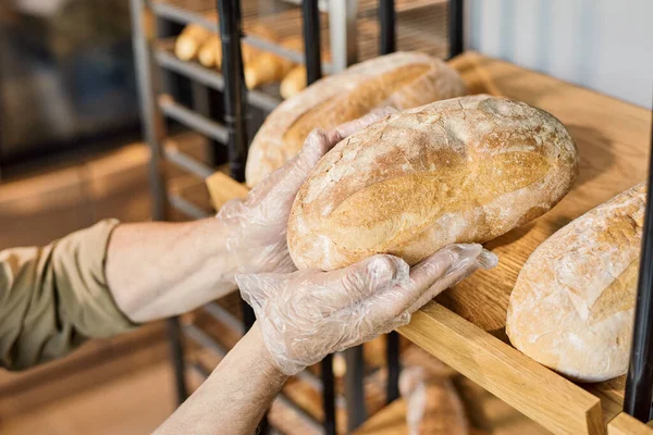 Ręce piekarza w rękawiczkach, chrupiące bochenki chleba z drewnianej wystawy — Zdjęcie stockowe