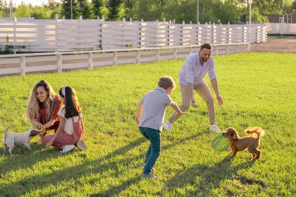 Padre e hijo jugando con una de las mascotas contra la madre y la hija —  Fotos de Stock