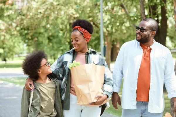 Jonge familie van drie wandelen naar beneden park, terwijl terug van supermarkt — Stockfoto