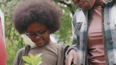 Mutlu Afro-Amerikan kadın ve küçük tatlı oğlunun parkta kendi başlarına dikilmiş güzel küçük ağaçlara bakışlarını yavaş yavaş çekiyorlar.