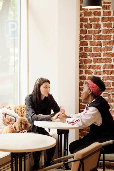 Szerelmes barátnők alkalmi ruhában nézik egymást, miközben beszélgetnek a kávézóban. — Stock Fotó