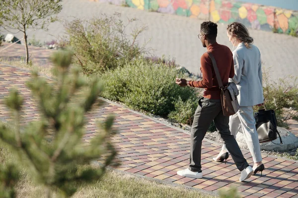 Dwóch młodych współpracowników międzykulturowych dyskutuje o momentach pracy podczas poruszania się po drodze w parku — Zdjęcie stockowe