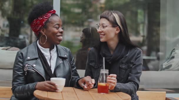 Slowmo Medium Shot Happy African American Caucasian Women Holding Hands — Stock Video