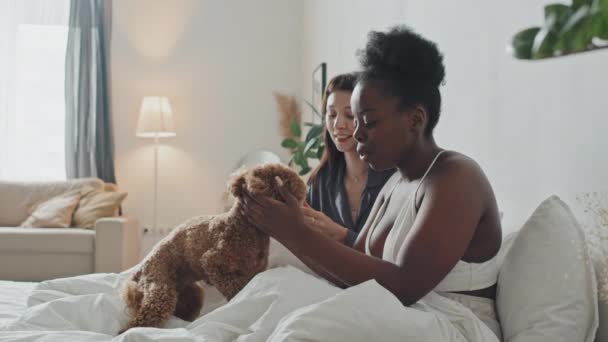 手開催遅いですショットの多民族のレズビアンカップルでベッドに座っています彼らの居心地の良いアパートでとペット彼らの可愛いですMaltipoo犬で朝 — ストック動画