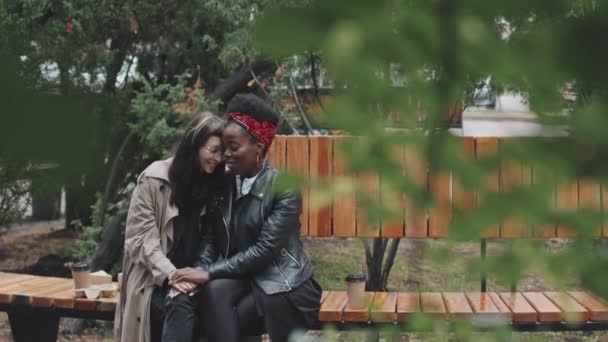 Slowmo Médio Tiro Mulher Afro Americana Feliz Namorada Caucasiana Sentados — Vídeo de Stock