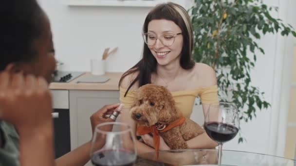 Kafkasyalı Kadının Sevimli Bir Köpeğe Sarılıp Afro Amerikalı Kız Arkadaşıyla — Stok video