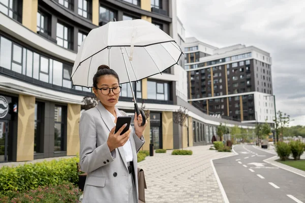 Ázsiai üzletasszony esernyő görgetés okostelefon — Stock Fotó