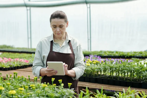 Hedendaagse boer kijkt online video over nieuwe soorten bloemen — Stockfoto