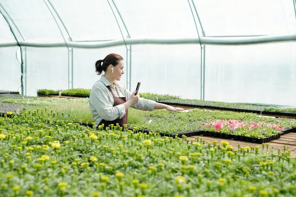 Επαγγελματίας αγρότης με smartphone δίνοντας online μάθημα για την καλλιέργεια λουλουδιών — Φωτογραφία Αρχείου
