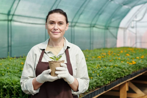 Feliz jardinero femenino sosteniendo olla de fibra con brote verde — Foto de Stock