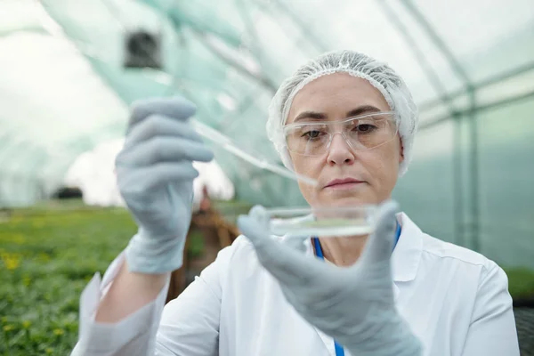 Hedendaagse biologische expert druppelvloeistof in petrischaal — Stockfoto