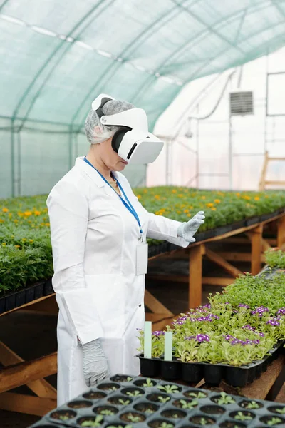 Vrouwelijke wetenschapper in vr headset met virtueel object, terwijl het verzorgen van groene zaailingen — Stockfoto