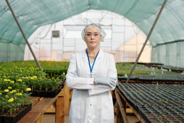 Koruyucu iş giyimi konusunda kendine güvenen bilim uzmanı fideleri büyüyen masaların karşısında duruyor.