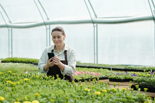 Gelukkig vrouwelijke boer met smartphone kijken online tuinieren video — Stockfoto
