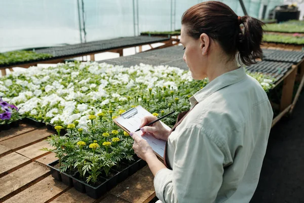 Jardinero femenino con bolígrafo y papel de pie junto a mesa grande con petunias y caléndulas — Foto de Stock